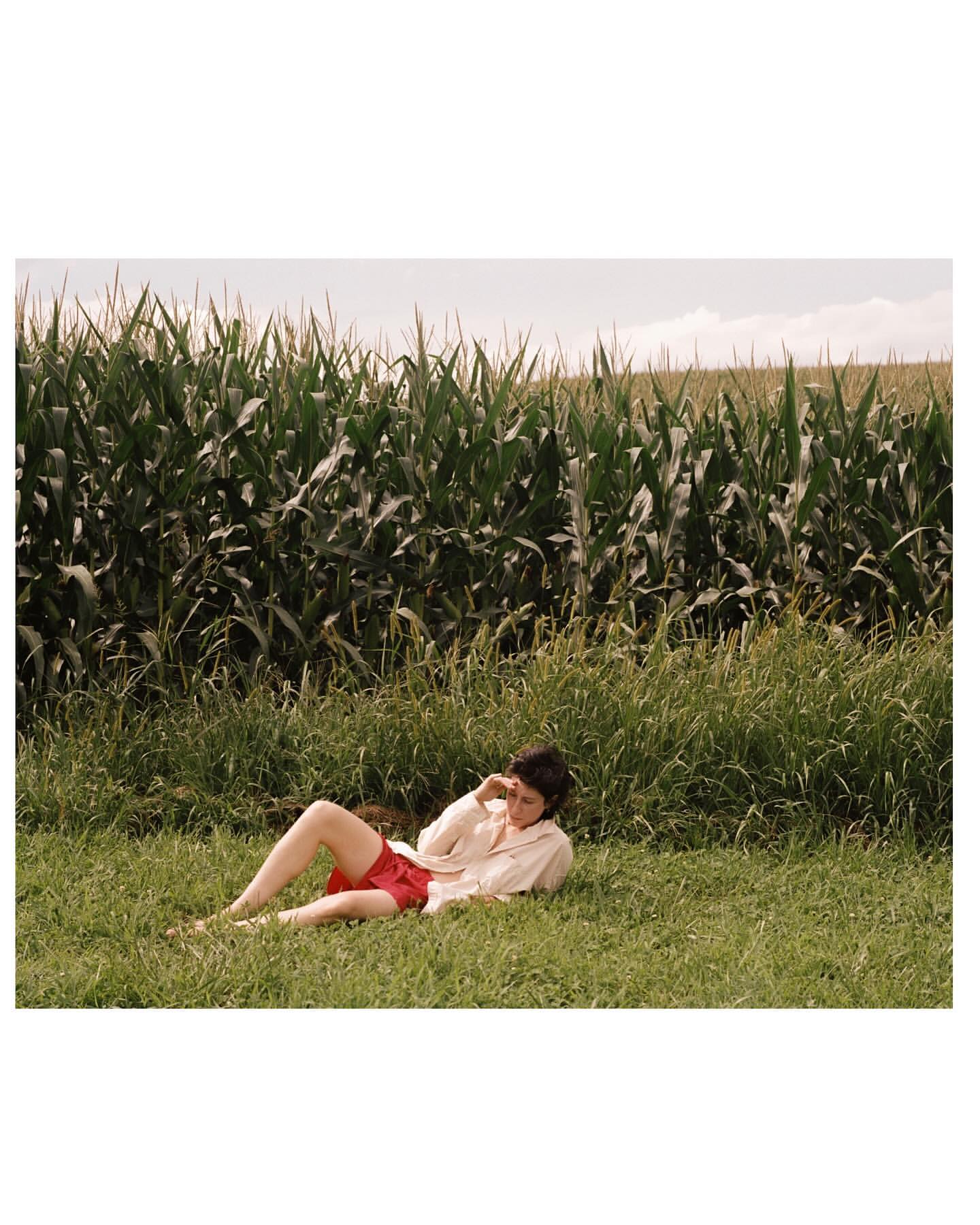 An adult laying in the grass in front of a cornfield, looking relaxed and at peace in a rural environment on a sunny day.