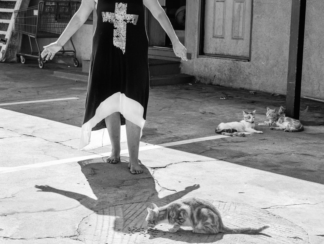 Black-and-white photo of a person standing outdoors with a dress, shadowed by three cats eating, and two cats resting nearby.