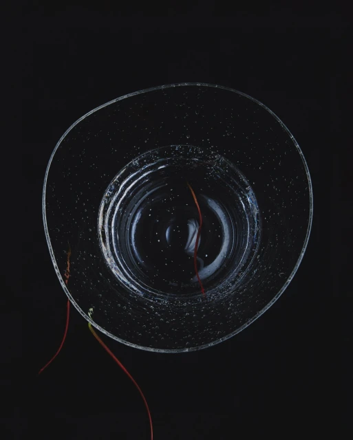Overhead studio shot of an empty clear glass bowl, with trailing red plant stems, set against a stark black background in even lighting.