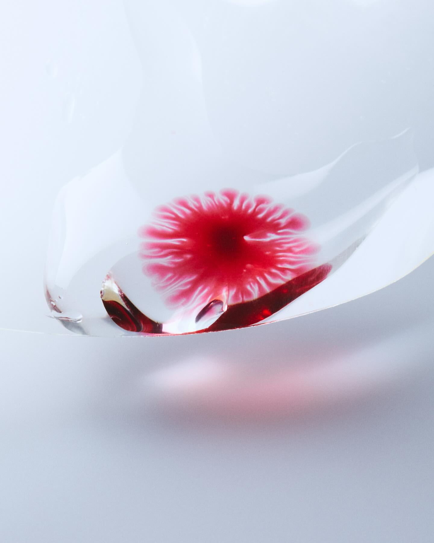 Macro photography of a glass object with red liquid inside, creating a burst of color and abstract design on a bright background.