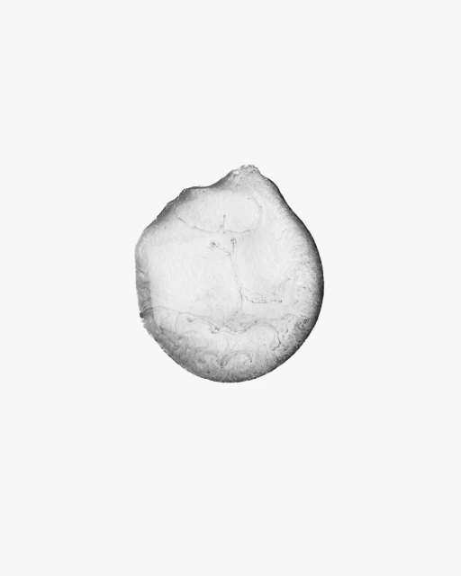 Monochrome photograph of a single ice fragment featuring textured details and unique surface patterns, set against a white backdrop.