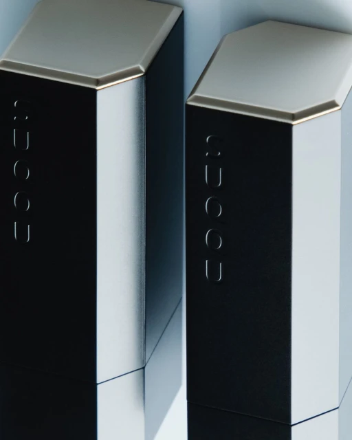 Close-up studio shot of two SUQQU lipstick tubes with black and silver packaging, displaying modern design and brand logo.