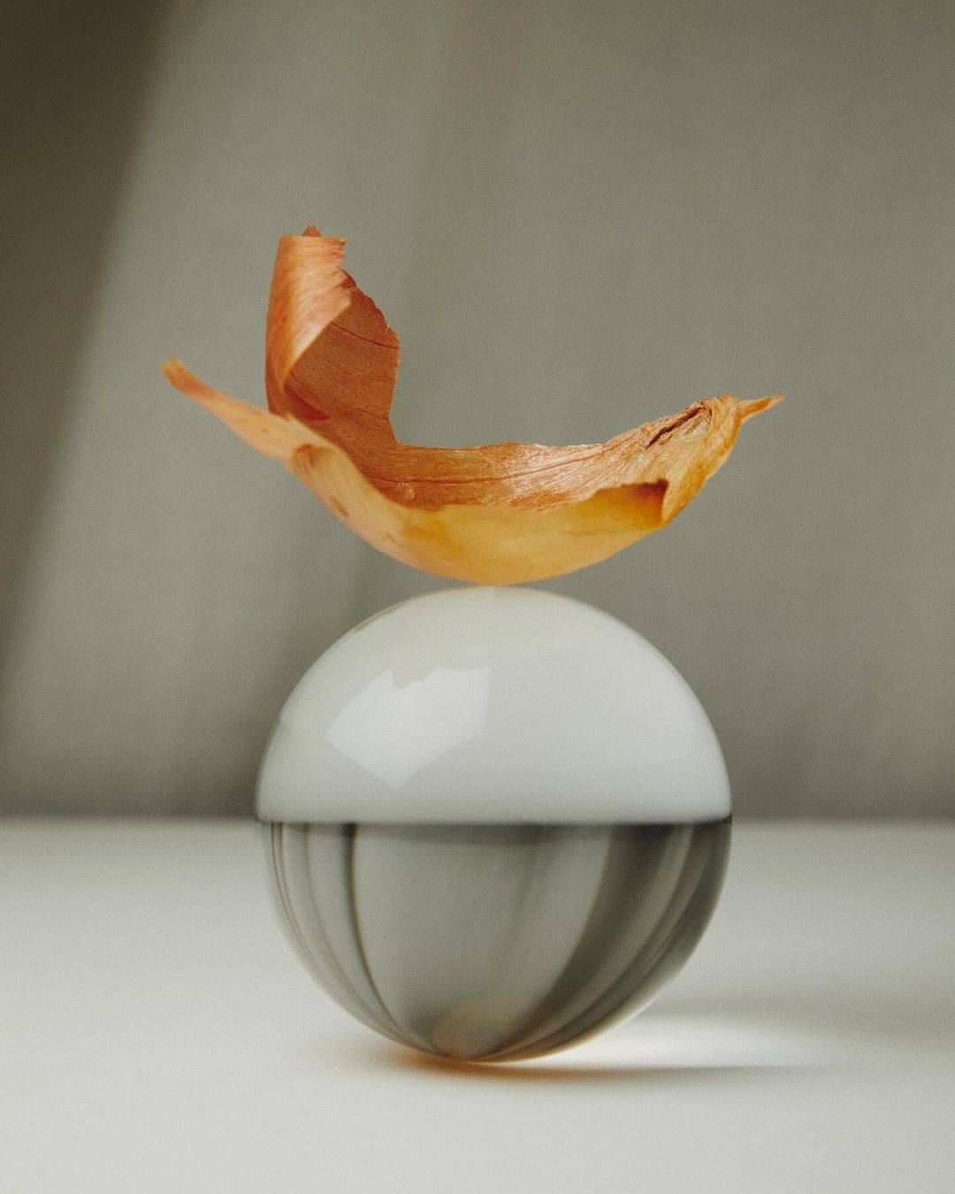 An onion skin sits atop a grey and white glass sphere in this food still life, showcasing organic texture and neutral tones against a soft grey background.