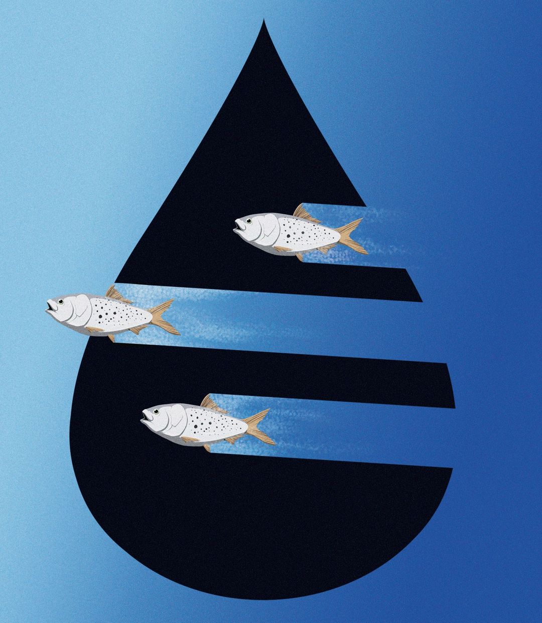 Illustration of three white fish swimming through a black teardrop shape with blue stripes against a gradient blue background.