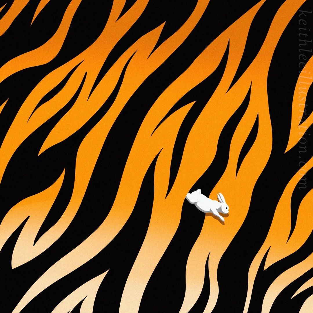 Illustration of a white rabbit in motion against an abstract black and orange tiger stripe pattern background, creating a playful contrast.