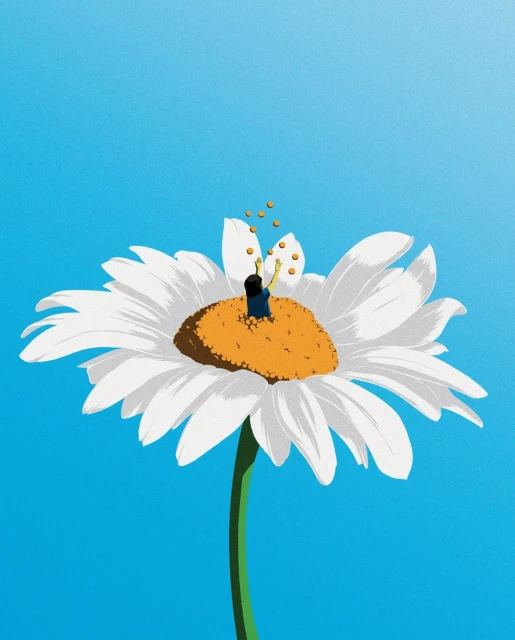 Illustration of a person in a navy shirt sitting in the center of a daisy flower tossing orange balls upwards on a blue background.
