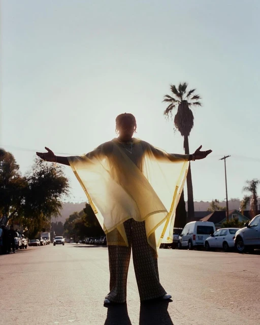 Person stands on a sunlit suburban street, arms outstretched, wearing a translucent poncho and patterned pants with a palm tree in the background.