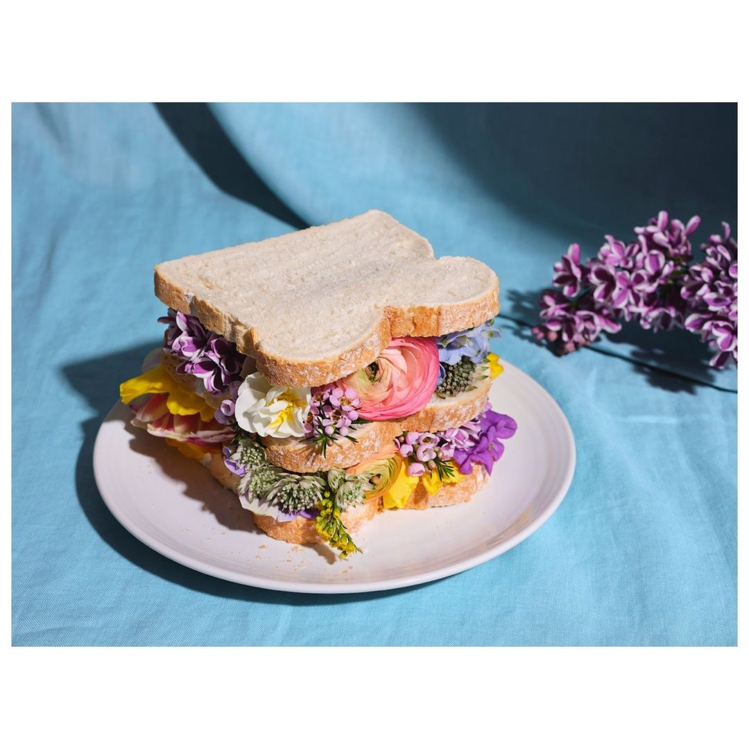 Creative sandwich made of bread slices with flower and plant fillings, photographed indoors in a studio setting with bright lighting.