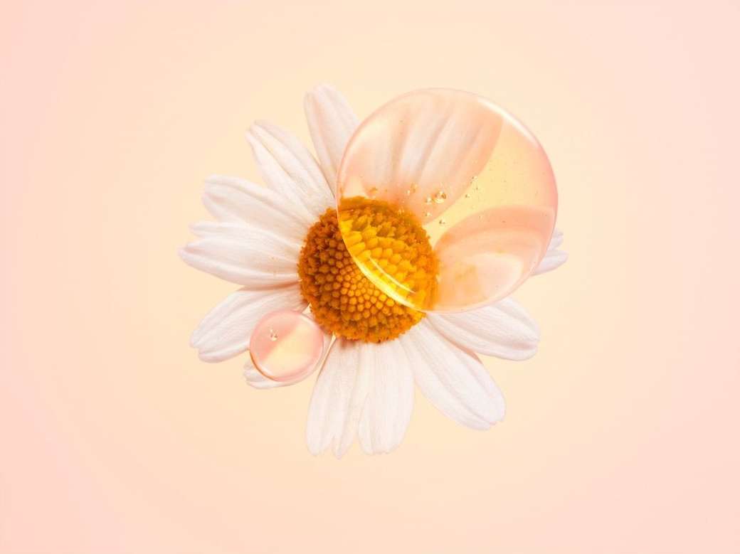 Macro shot of a white daisy flower with a honey-colored oil droplet on a peach background, highlighting the flower's details and purity.