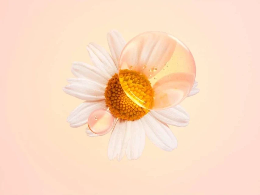 Macro shot of a white daisy flower with a honey-colored oil droplet on a peach background, highlighting the flower's details and purity.