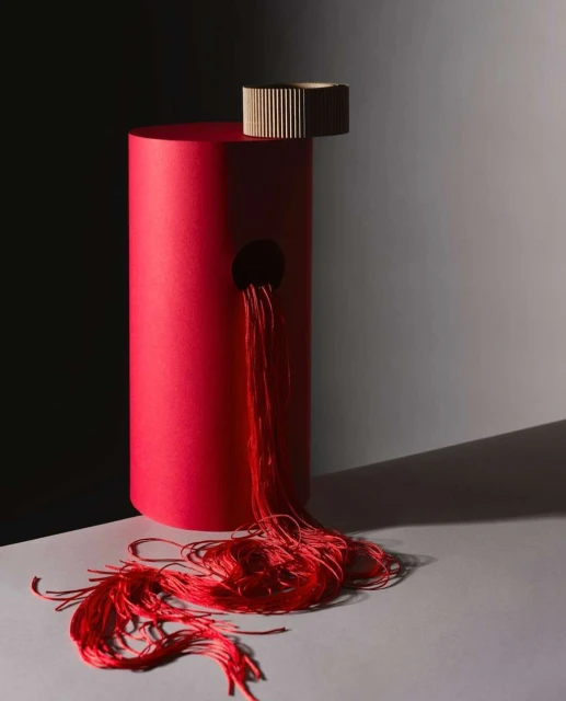 Abstract still life photograph of a red cylinder, a textured brown disc, and scattered red string against a split gray and black background.