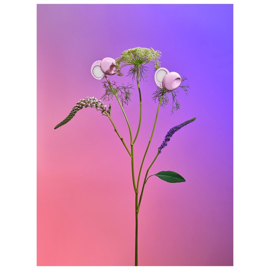 Still life of Queen Anne's lace and pink floral-shaped objects against a graduated pink and purple background.