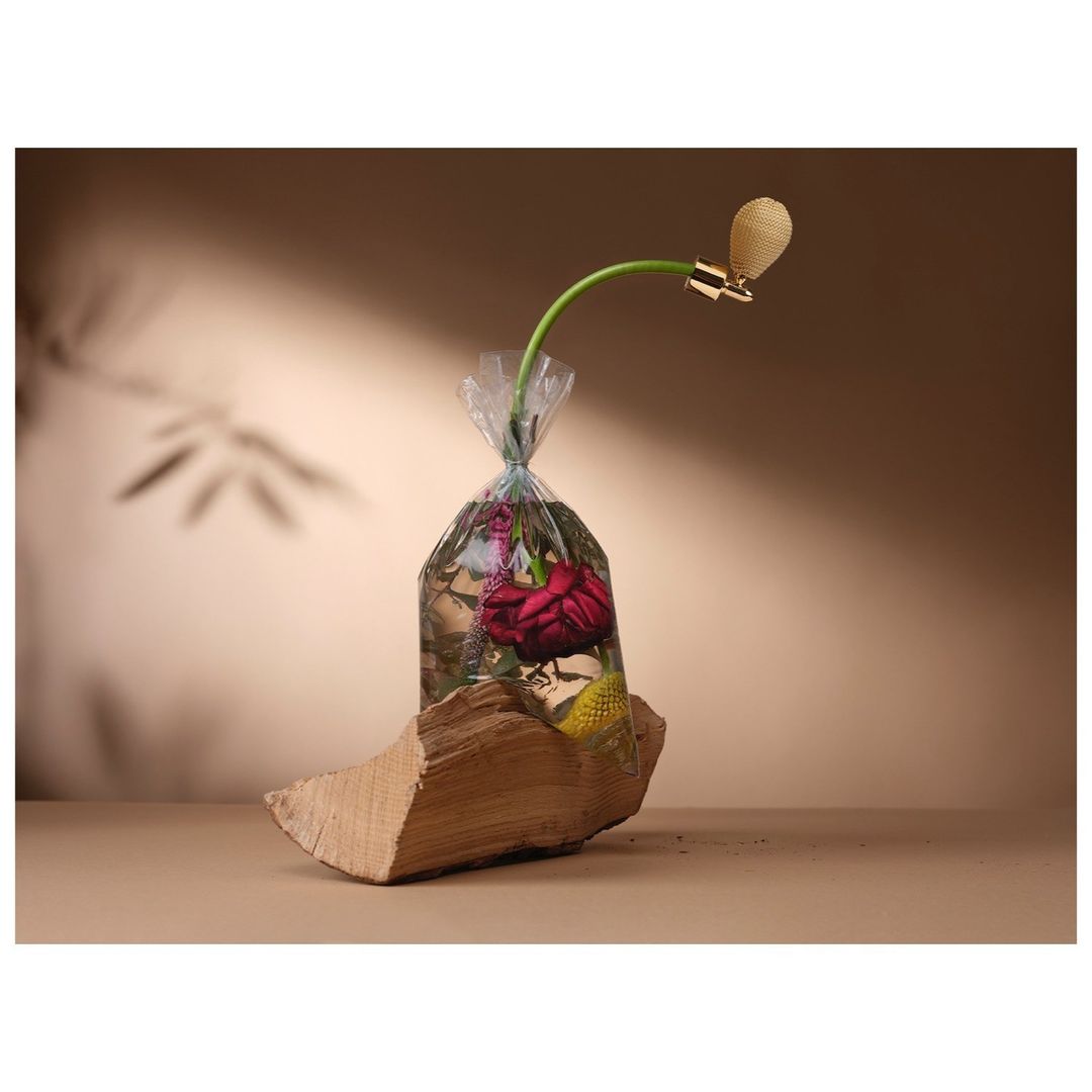 Still life of red roses in a clear plastic bag, placed on a wood block with a green perfume atomizer in a soft brown studio.