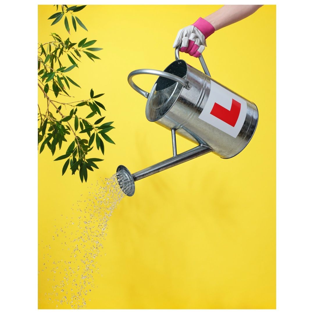 Hand with gardening gloves holds a watering can with water coming out, in front of green leaves and a yellow background.