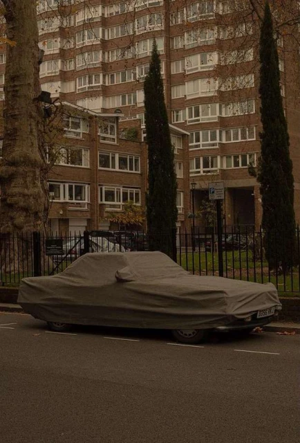 Car covered in a grey tarp parked on a street with tall trees and a large apartment building in the background on an overcast day.