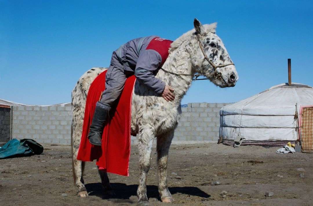 Person in grey riding a horse with a red saddle blanket in a rural setting with a yurt in the background under a clear blue sky.
