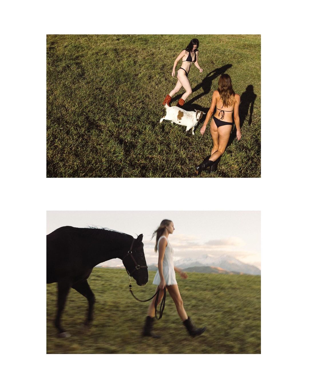 Two women in swimwear walk with a goat in a field, and a woman walks a horse in a field with mountains in the background.