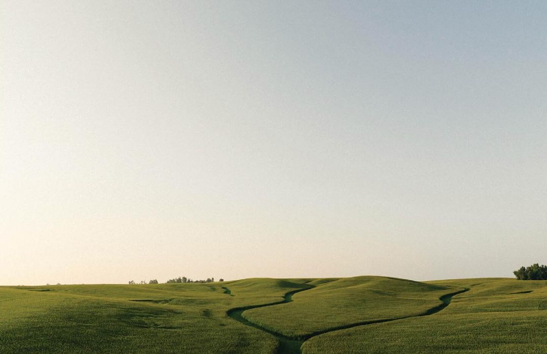 Rolling green hills landscape with path leading through the fields under a serene sky, capturing a peaceful outdoor scene.