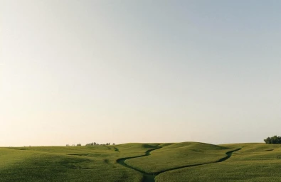 Rolling green hills under a pale sky with winding paths cutting through the grassy landscape.