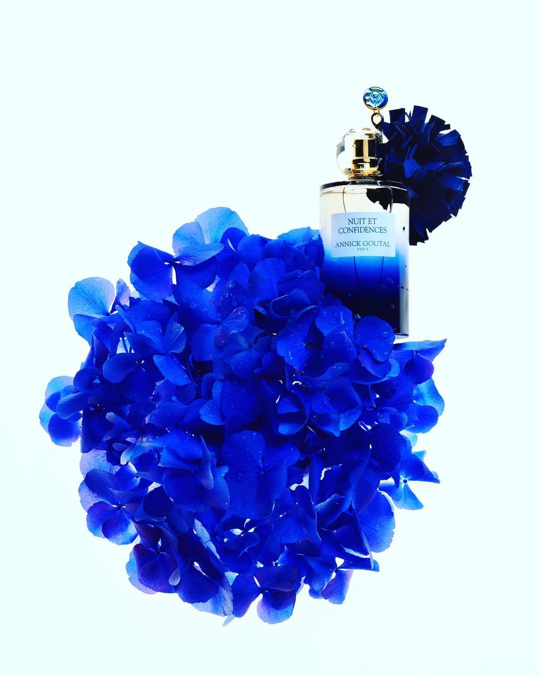 Perfume bottle of Nuit et Confidences Annick Goutal surrounded by a large blue hydrangea flower against a plain white backdrop.