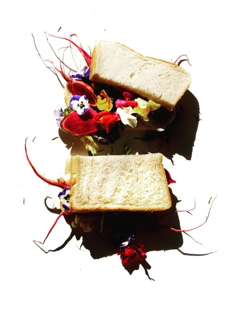 Overhead shot of open-faced sandwiches with colorful flower petals and radish sprouts on white background, artistic food photography.