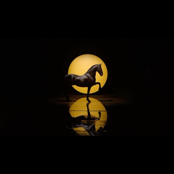 Dramatic, artistic photograph of a silhouetted horse in profile, reflected in a dark surface against a bright yellow circular background.