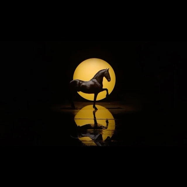 Dramatic, artistic photograph of a silhouetted horse in profile, reflected in a dark surface against a bright yellow circular background.