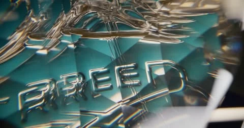 Close-up shot featuring a turquoise surface with the word 'BREEED' embossed in silver, highlighted by diamond patterns and reflections.