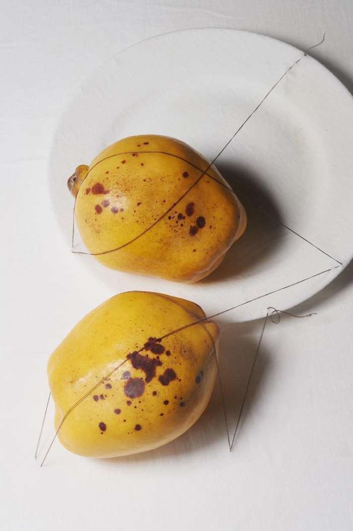 Still life photograph of two ripe yellow mangoes on a white plate, accented with fine black wire, set against a white background.