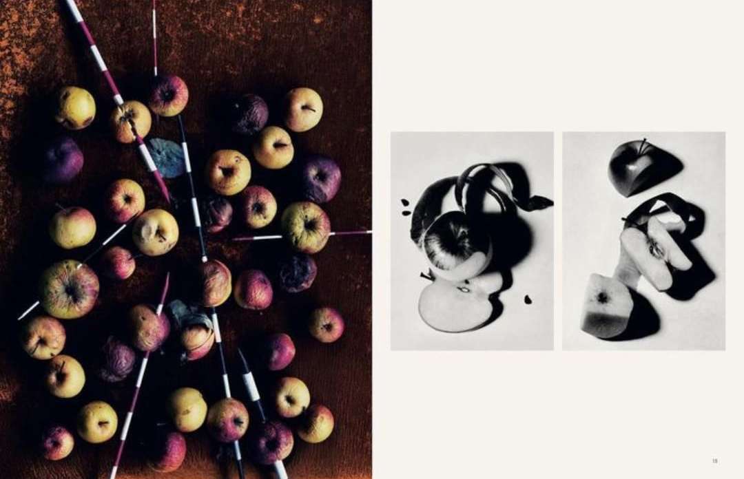 High-angle product shot featuring an arrangement of apples and decorative sticks; black-and-white images of sliced apples, indoors.