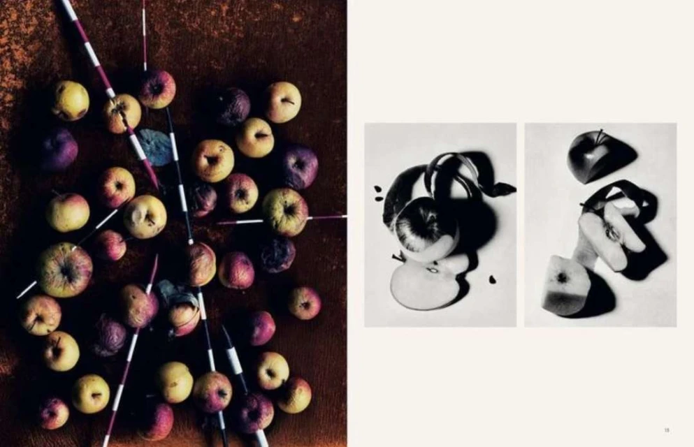 High-angle product shot featuring an arrangement of apples and decorative sticks; black-and-white images of sliced apples, indoors.