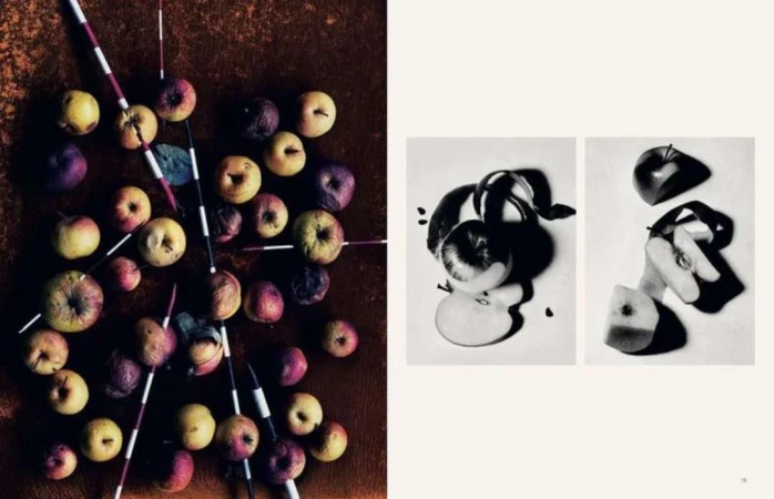 High-angle product shot featuring an arrangement of apples and decorative sticks; black-and-white images of sliced apples, indoors.