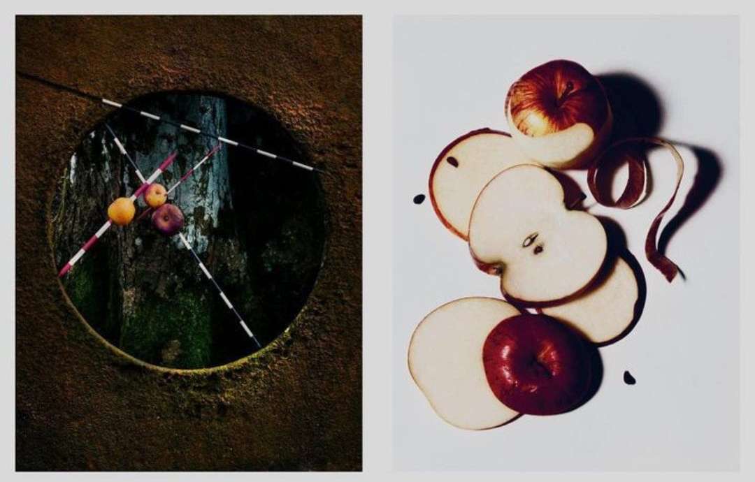 Split diptych showcasing whole and sliced apples. One side features whole fruit against a forest scene, while the other displays sliced apples on white.