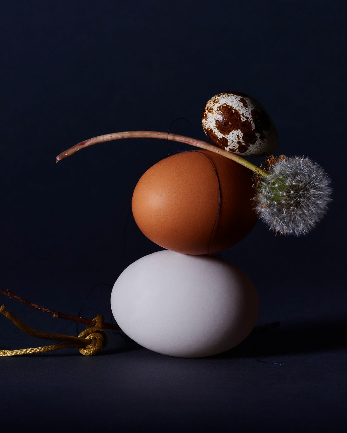 Still life photography of stacked eggs with a dandelion flower head and a small brown spotted egg on a dark navy background.