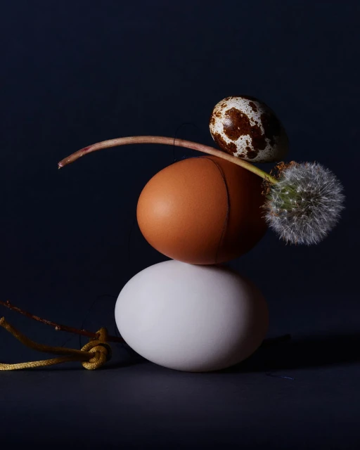Still life photography of stacked eggs with a dandelion flower head and a small brown spotted egg on a dark navy background.