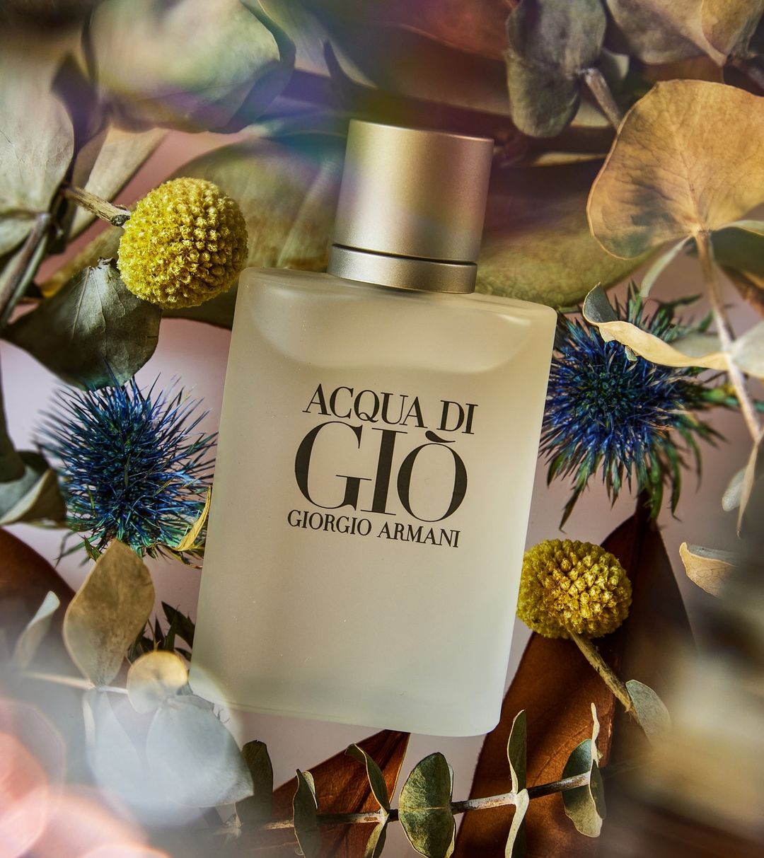 Close-up of a bottle of Acqua di Giò perfume, centered among eucalyptus leaves and yellow and blue thistle flowers, soft indoor lighting.
