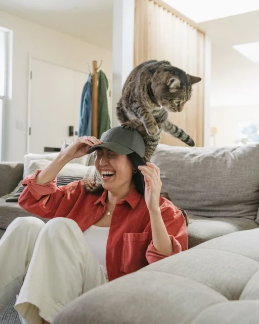Woman laughs with a grey tabby cat sitting on her head while indoors on a grey couch wearing casual clothing and a baseball cap.