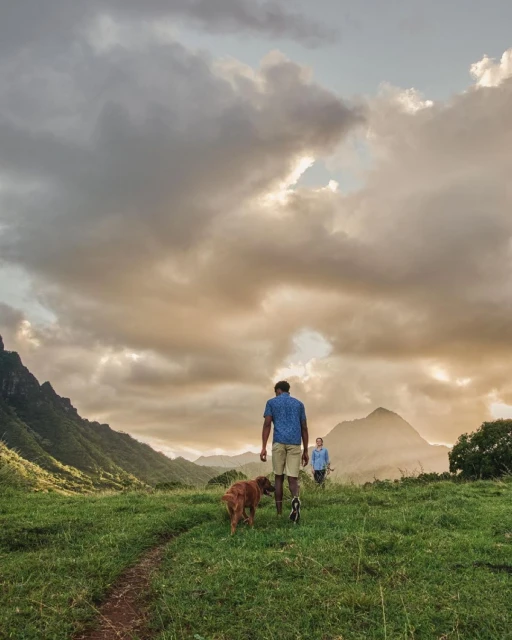 Man walks with a Golden Retriever and dog in lush valley with dramatic clouds and mountains at sunset, creating a sense of adventure.
