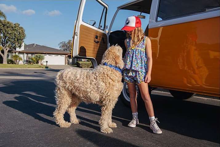 A young girl in shorts and a floral top stands with her dog next to a vintage orange and white VW van on a sunny street.