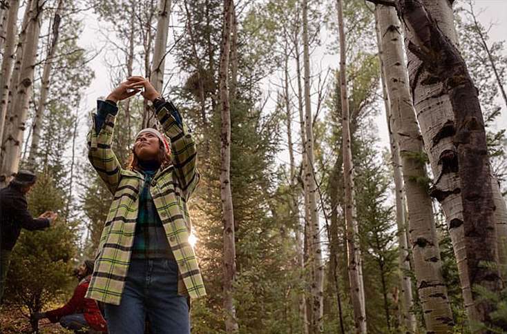 Adult female in a green plaid shirt reaches up towards treetops in a forest of tall bare aspen trees with some evergreen trees.