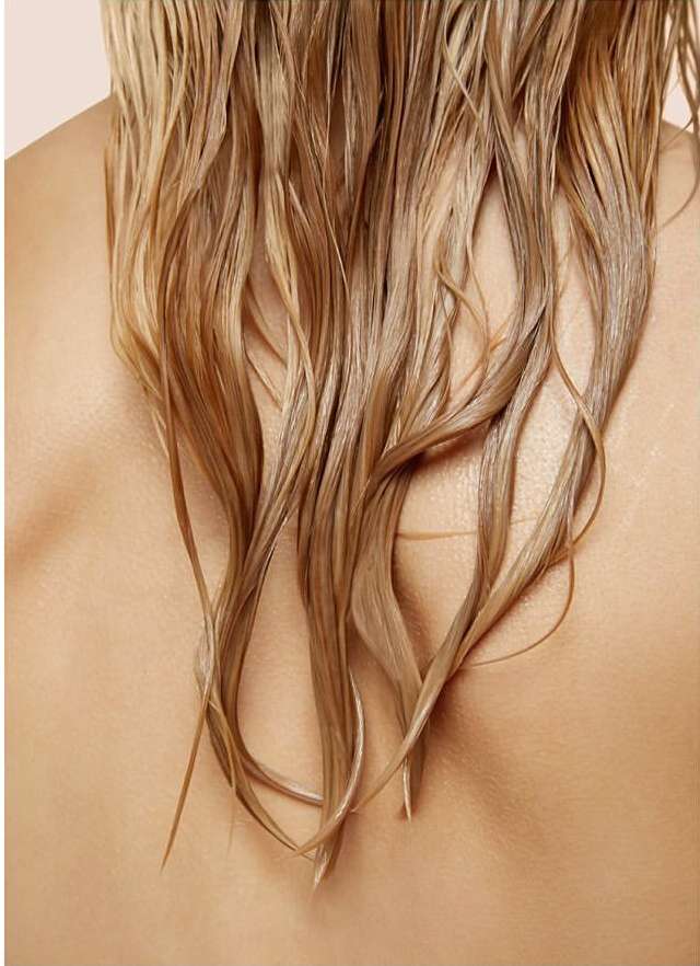 Close-up shot of the back of a person with long, wet, blonde hair. Soft lighting highlights the hair's texture against bare skin.