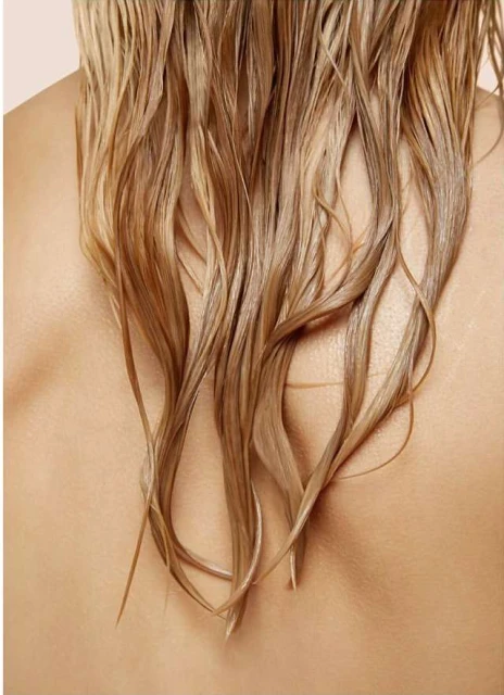 Close-up shot of the back of a person with long, wet, blonde hair. Soft lighting highlights the hair's texture against bare skin.