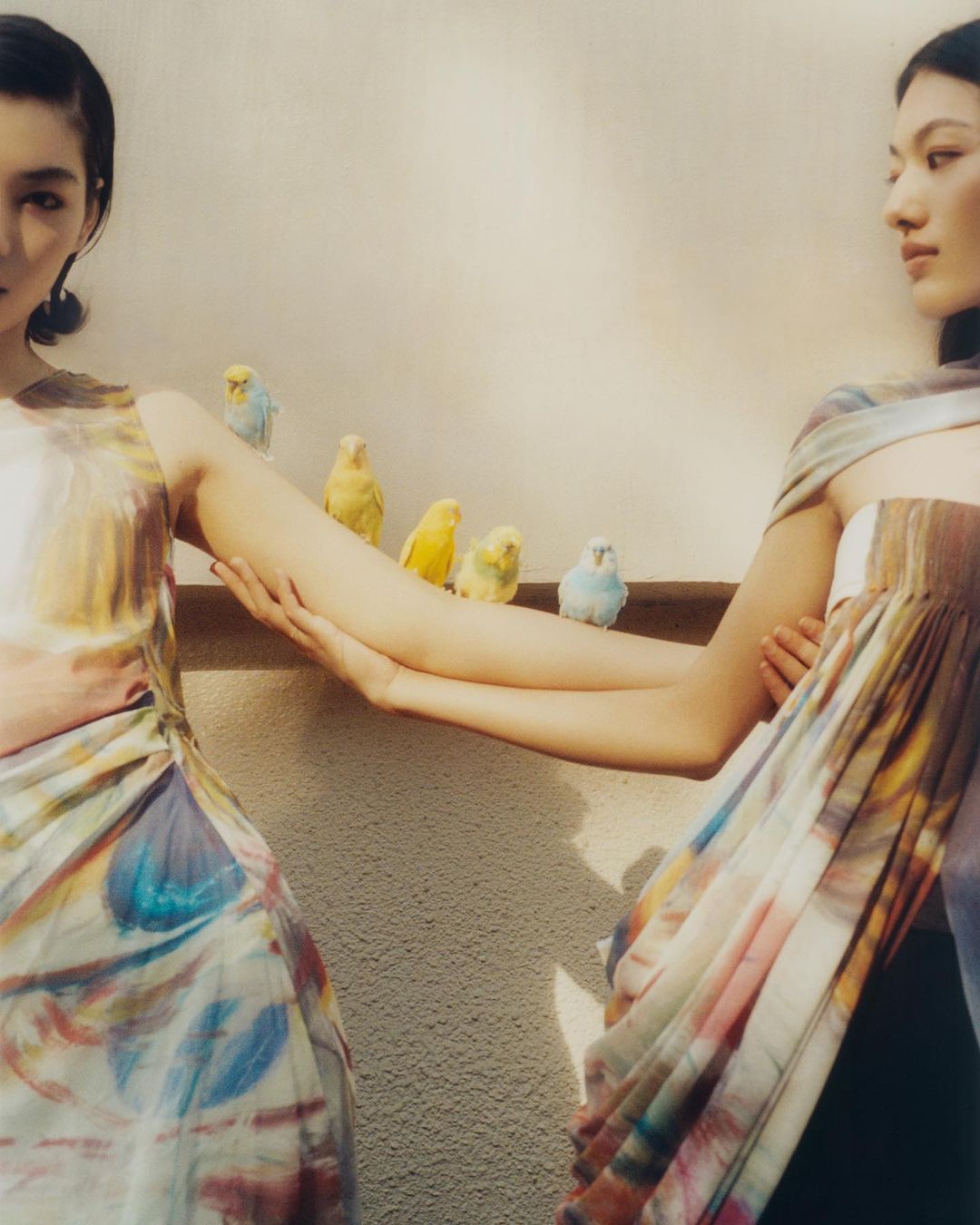 Two women in colorful dresses pose indoors with budgerigar birds on a shelf, medium shot, soft lighting, fashion editorial.
