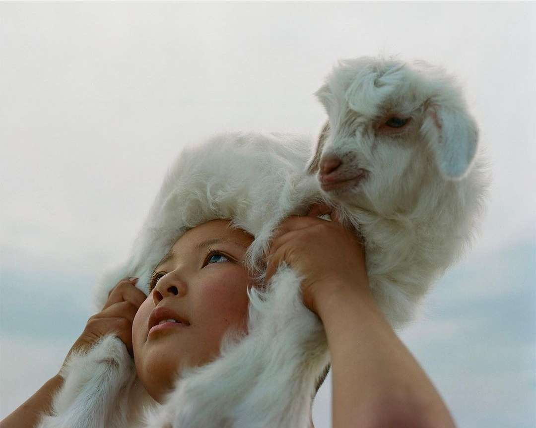Portrait of child holding a fluffy white goat kid on their head outdoors against a light sky, creating a striking and memorable image.