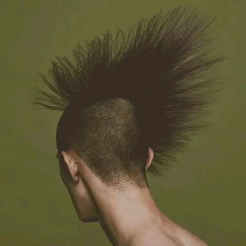A person's shaved head and black spiky mohawk against a green background in a studio-lit headshot emphasizes hair and style.