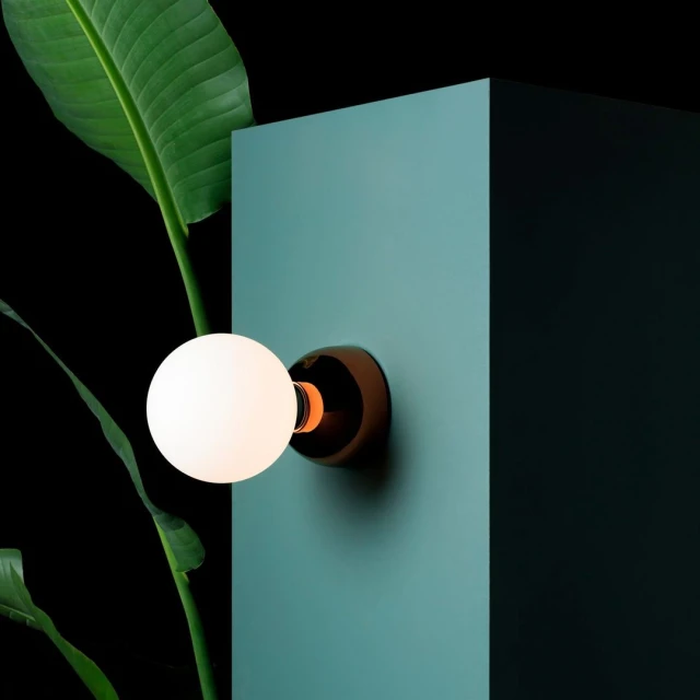 Contemporary wall lamp with a spherical white shade mounted on a minimalist turquoise block, complemented by verdant plant leaves.