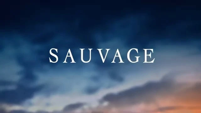 Text overlay on a blurred sky background with blue, grey, and orange hues, showcasing the word 'SAUVAGE' in a clean, white sans-serif font.