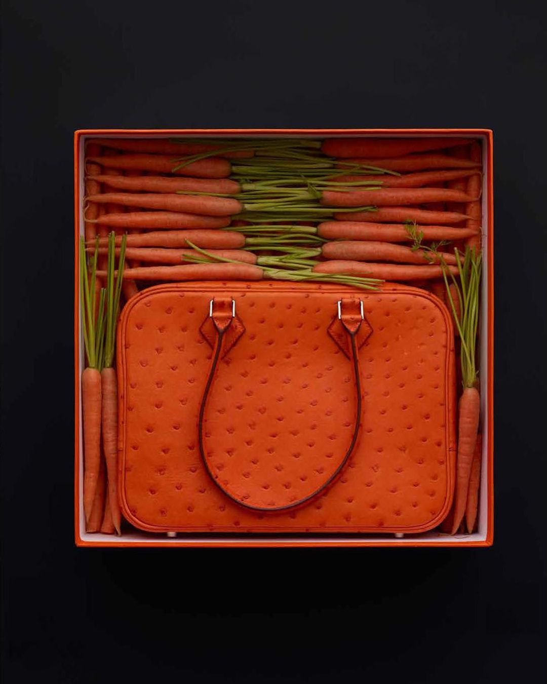 Orange leather handbag in an orange box, surrounded by fresh carrots. Conceptual fashion still life against a black backdrop.