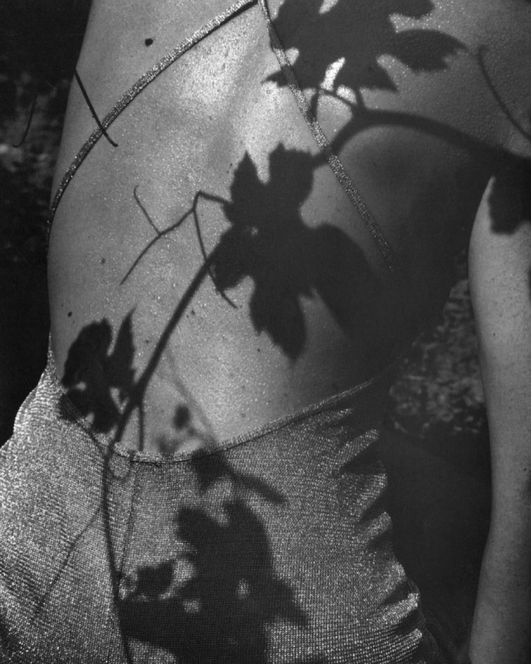 Back view of an adult female in a silver dress, with shadows of leaves and branches casting across her skin, creating a nature-inspired effect.