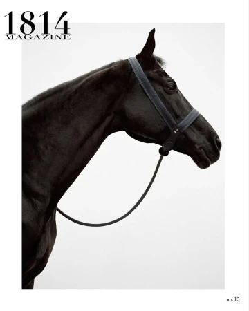Headshot of a black horse with a dark halter and lead rope against a bright white background; magazine-cover style aesthetic.